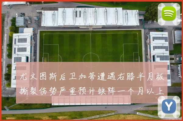 尤文图斯后卫加蒂遭遇右膝半月板撕裂伤势严重预计缺阵一个月以上