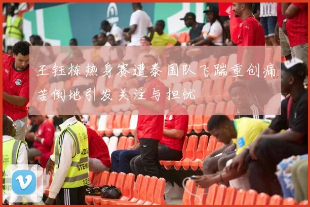 王钰栋热身赛遭泰国队飞踹重创痛苦倒地引发关注与担忧